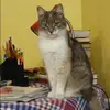 Отзыв от Динара Добрынина